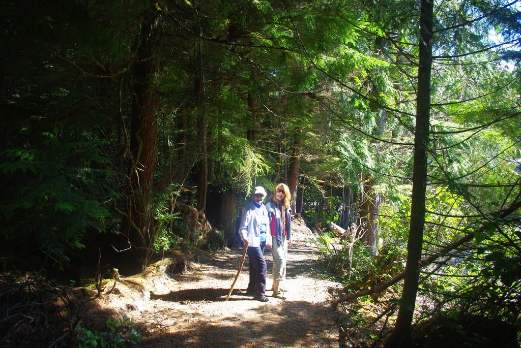 Wild Coast Chalets Port Renfrew Ngoại thất bức ảnh