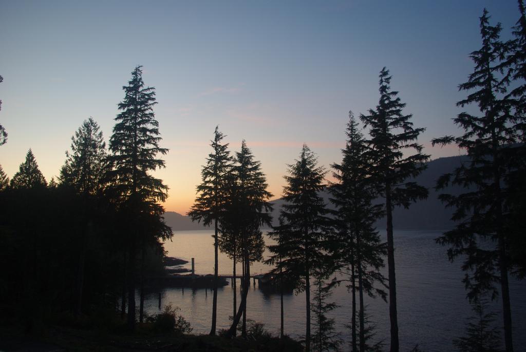 Wild Coast Chalets Port Renfrew Ngoại thất bức ảnh